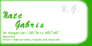 mate gabris business card